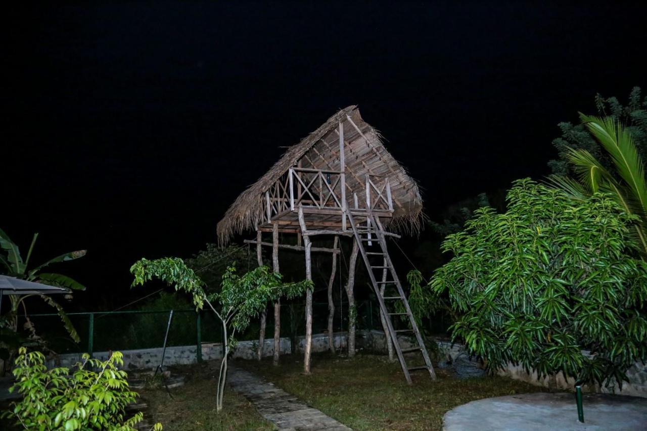 D Family Resort Anuradhapura Luaran gambar